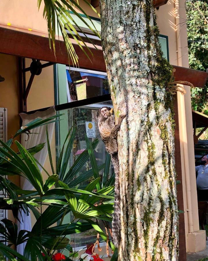 Pousada Pataca De Prata - Pousada De Epoca Petrópolis Exteriör bild